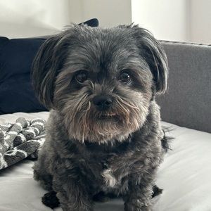 Meet your Posher, Jake